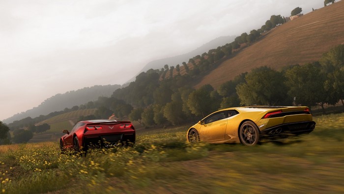 Red and yellow sports cars driving on a grassy hill