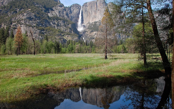 Yosemite Falls reflected in a meadow pond