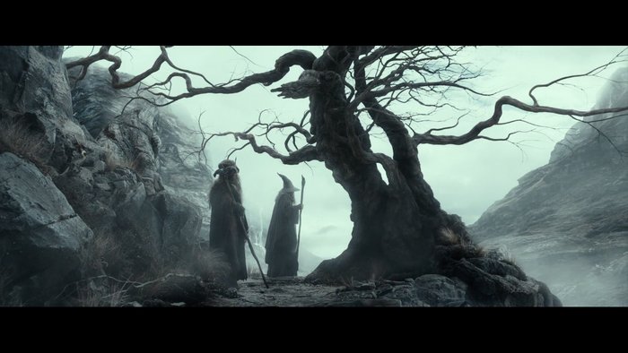 Two wizards and a dead tree in a rocky landscape