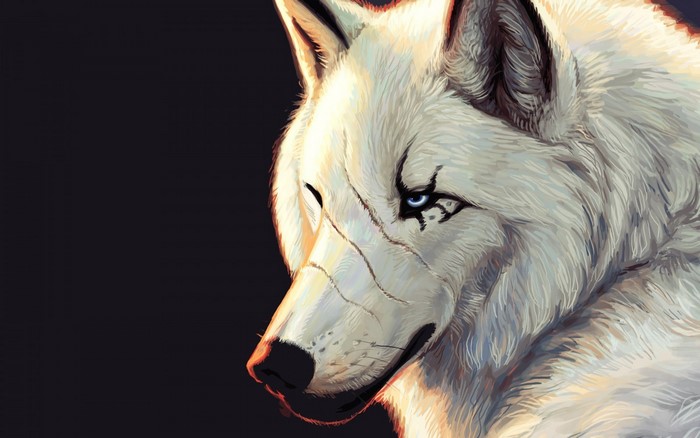 Artwork of a white wolf with blue eyes
