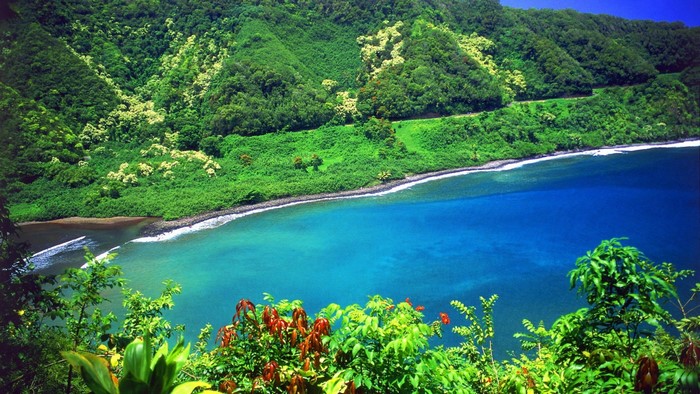 Green mountains meet the blue ocean