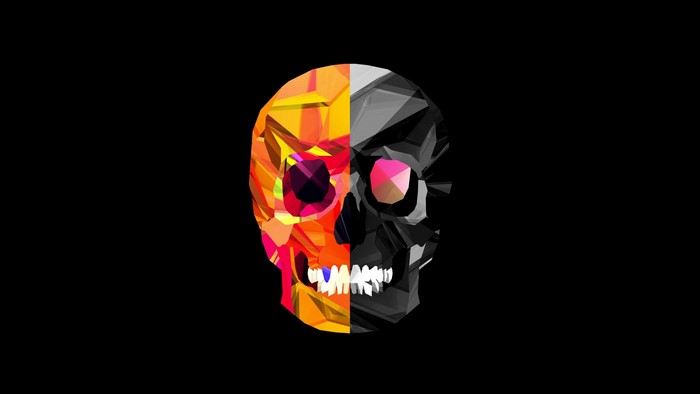 Abstract Geometric Skull Illustration