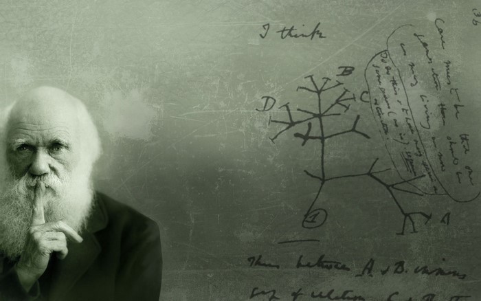 Charles Darwin's Tree of Life sketch