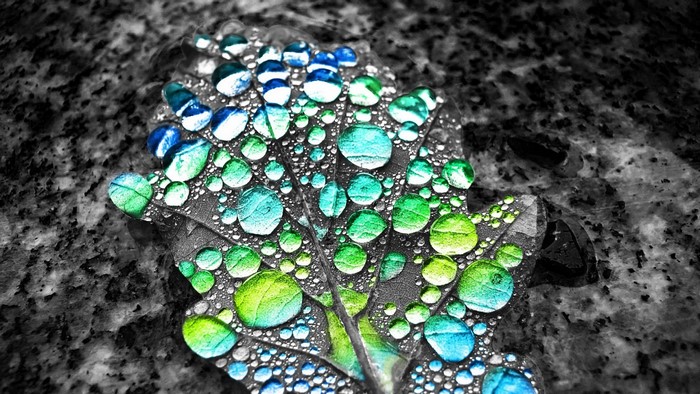 Selective coloring of water drops on a leaf