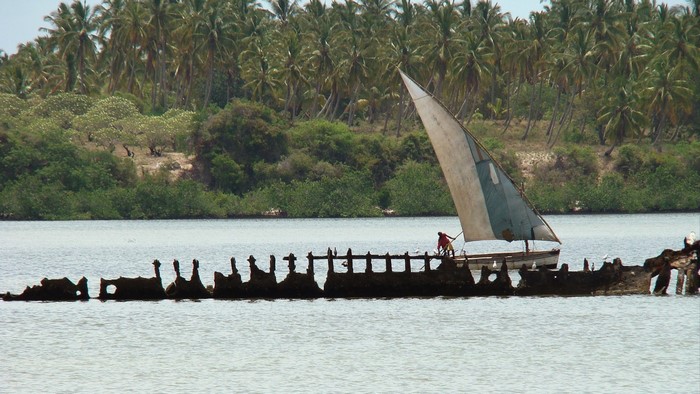 Sailboat near shipwreck with palm trees