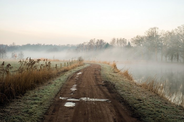 Dirt road through a misty rural landscape in the morning