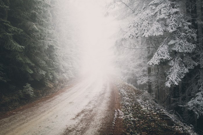 Snowy forest road in fog with sunlight