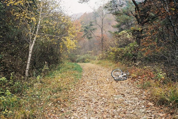 Bicycle lying on a leaf-covered dirt road in an autumn forest