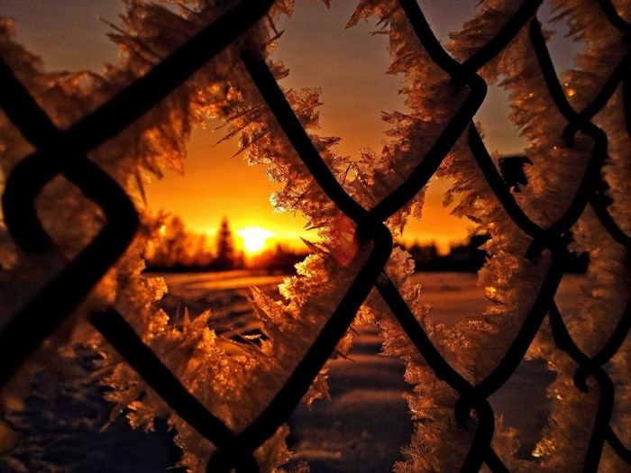 Sunset viewed through a frosted chain-link fence
