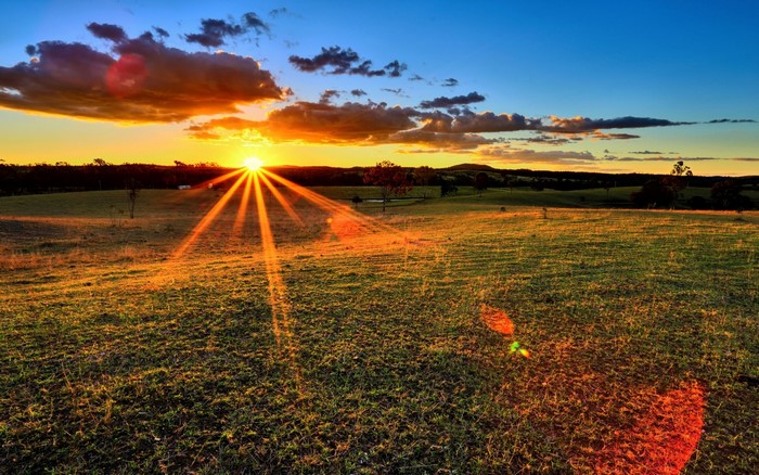 Sunset over a grassy field with sun rays