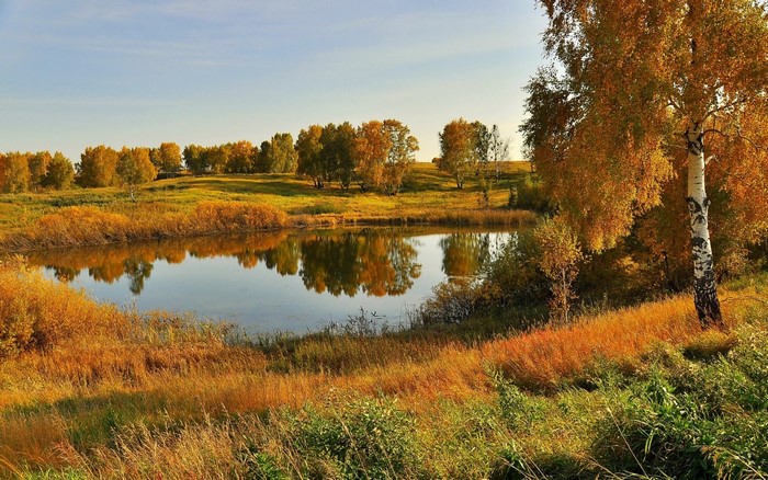 Autumn landscape with a lake and trees reflecting in the water