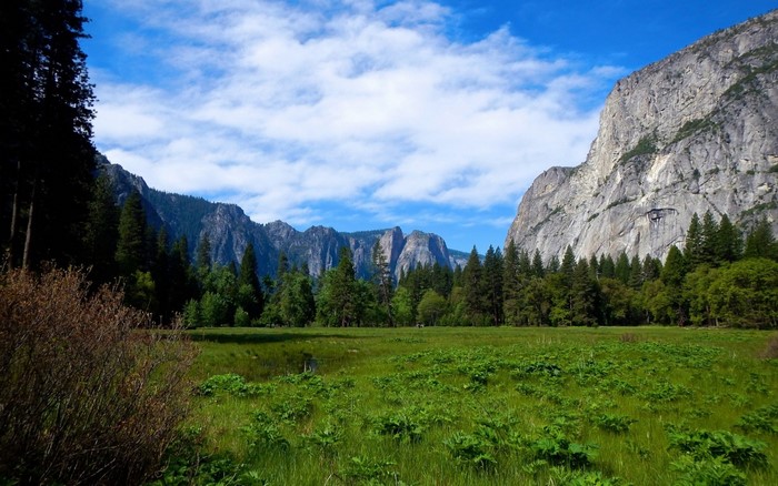 Yosemite Valley National Park with El Capitan and Half Dome