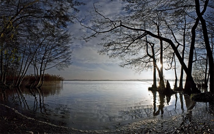 Bare trees reflecting in a calm lake at sunrise or sunset