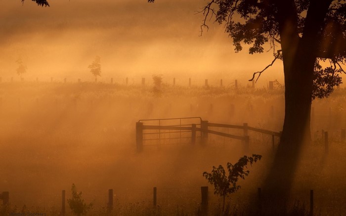 Misty field with a fence at sunrise or sunset