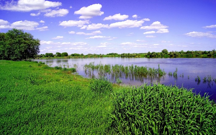 Green grassy riverbank under a blue sky with clouds