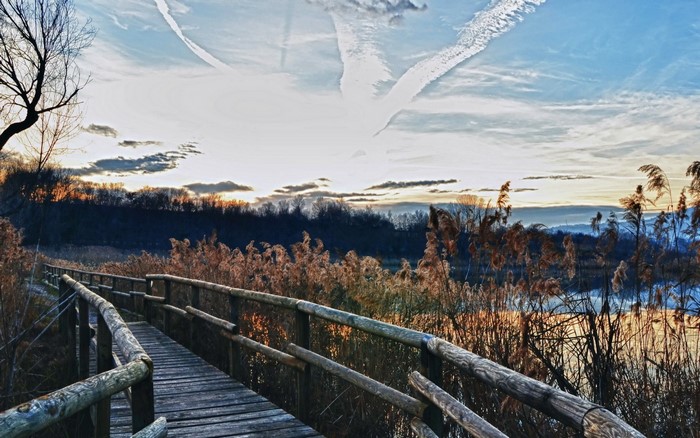 Wooden boardwalk through reeds by a lake at sunset