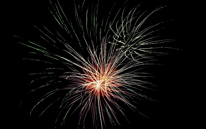 Fireworks exploding in the night sky