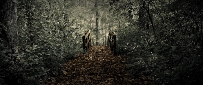 A path covered in leaves leads to a wooden bridge in a dark forest.