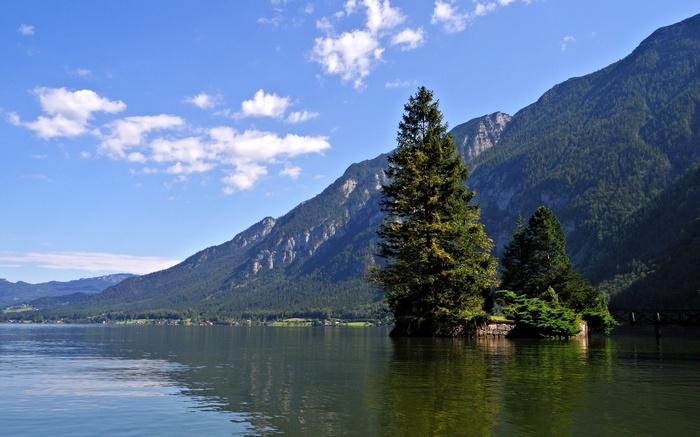 Lake and Mountains with Island Tree