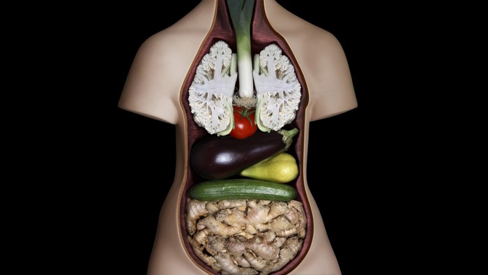 Human torso filled with vegetables and roots