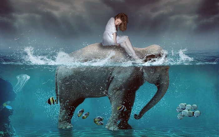 Girl riding an elephant in the ocean with fish