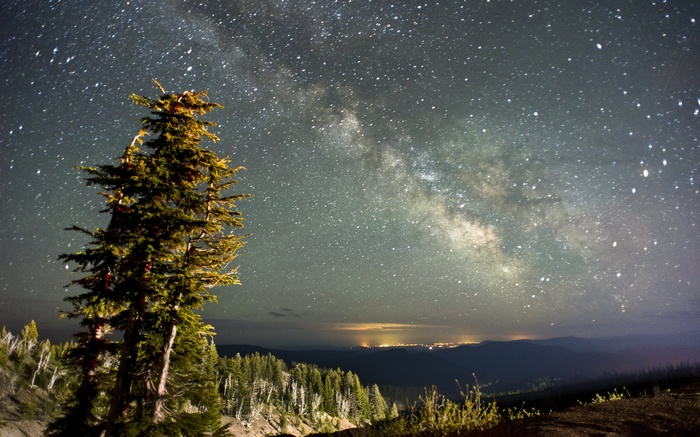 Milky Way over a forest and distant city lights