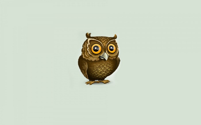 Cute cartoon owl illustration