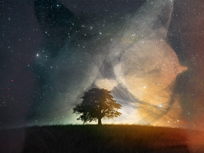 Tree under starry sky with nebula