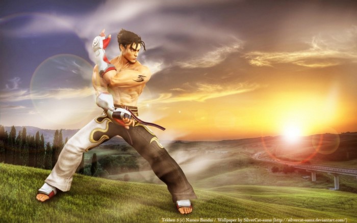 Jin Kazama from Tekken 5 in a landscape