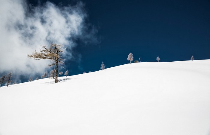Snowy mountain slope with sparse trees and dark blue sky