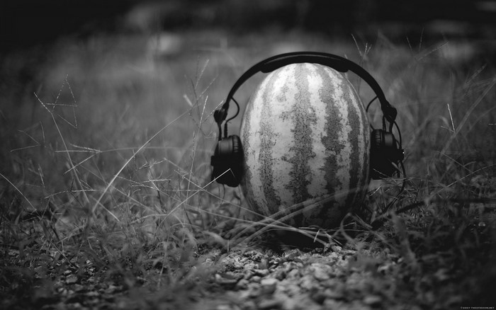 Watermelon with headphones on grass