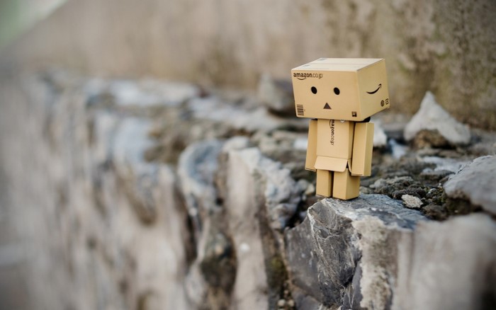 Danbo toy from Amazon on rocks