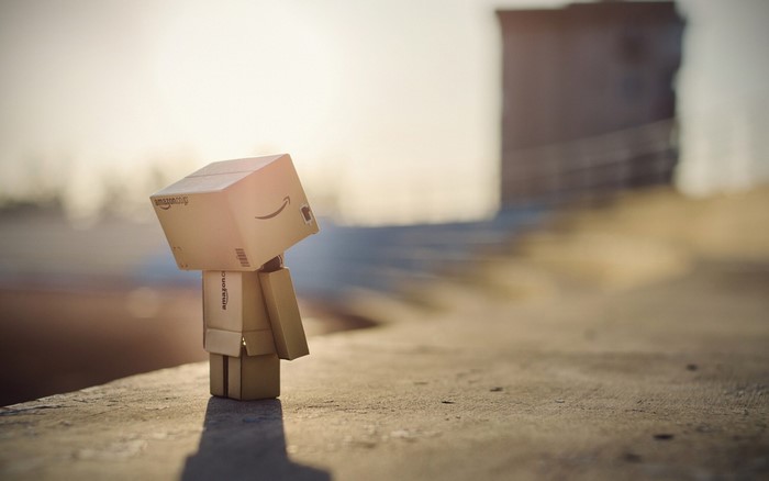 Danbo toy with Amazon logo in sunlight
