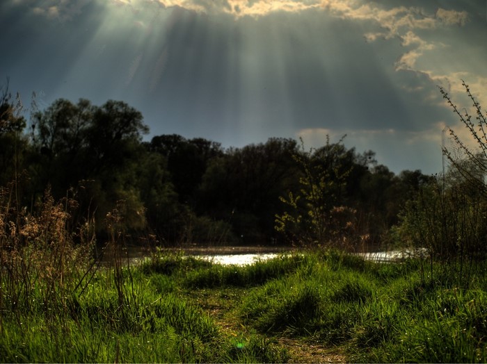 Sun rays breaking through clouds over a forest and lake