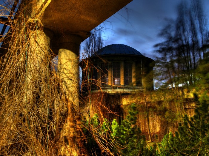 Round building with dome at night with trees