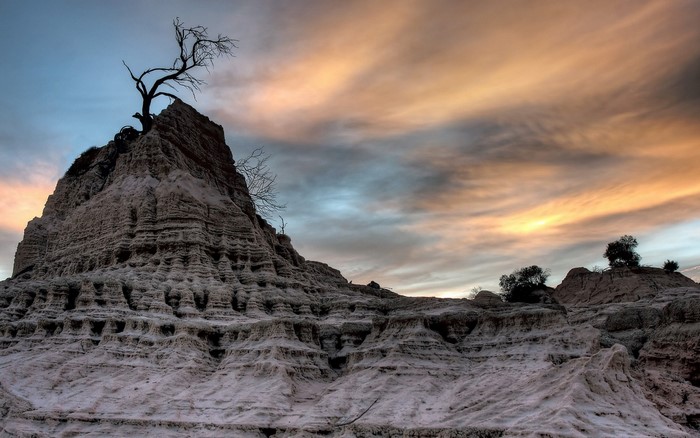 Dead tree on a rock formation at sunset