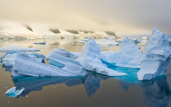 Icebergs floating in the ocean with misty mountains in the background