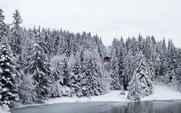Snow-covered forest with a small cabin by a frozen lake