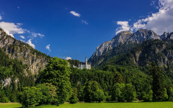 Castle Neuschwanstein in the Bavarian Alps