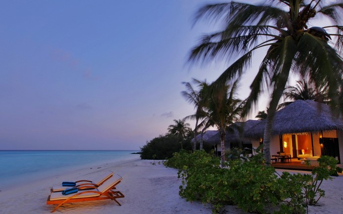 Tropical beach resort with palm trees and lounge chairs at dusk