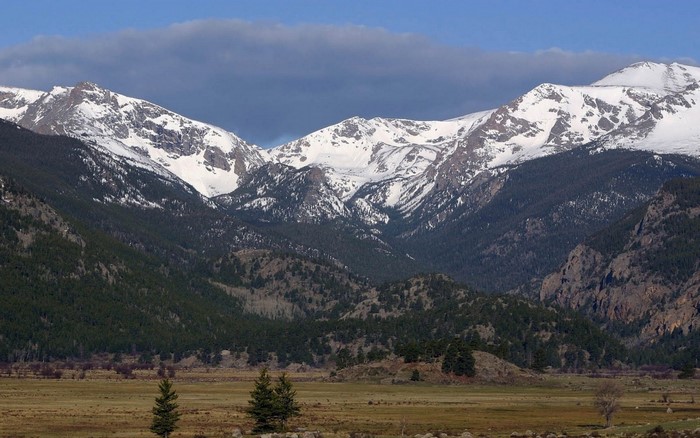 Snow-capped mountains and a valley with pine trees
