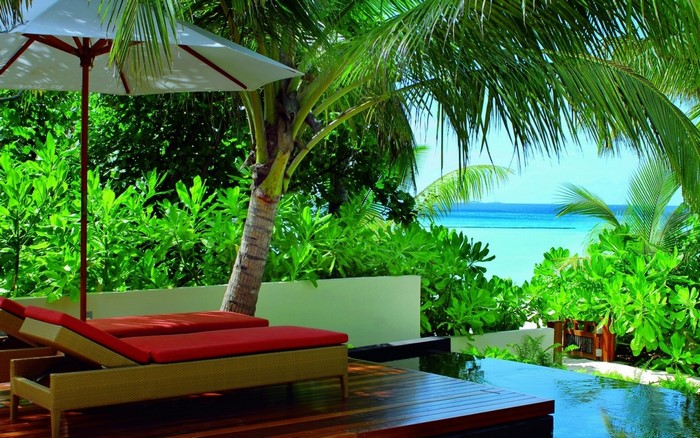 Tropical Resort Poolside with Palm Trees