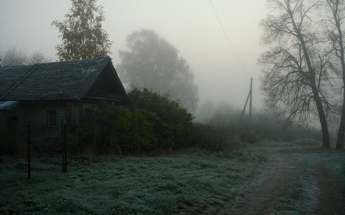 Abandoned house in fog with frost on grass