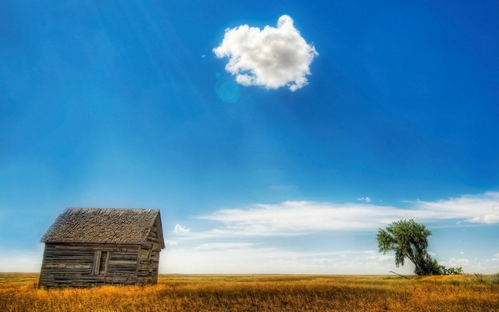 Old cabin in a golden field under a blue sky