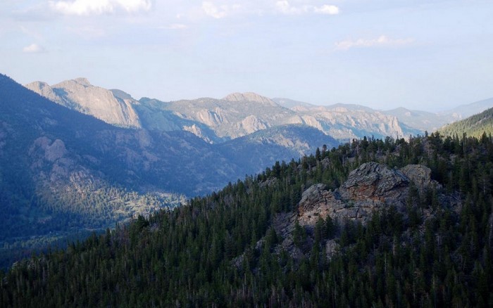 Mountain range with pine forest and valley