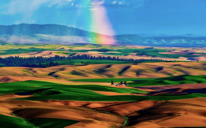 Rolling hills and fields with a rainbow