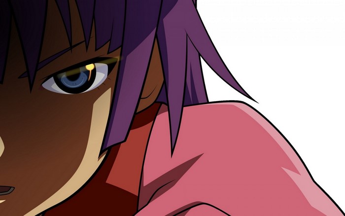 Senjougahara Hitagi from Monogatari Series