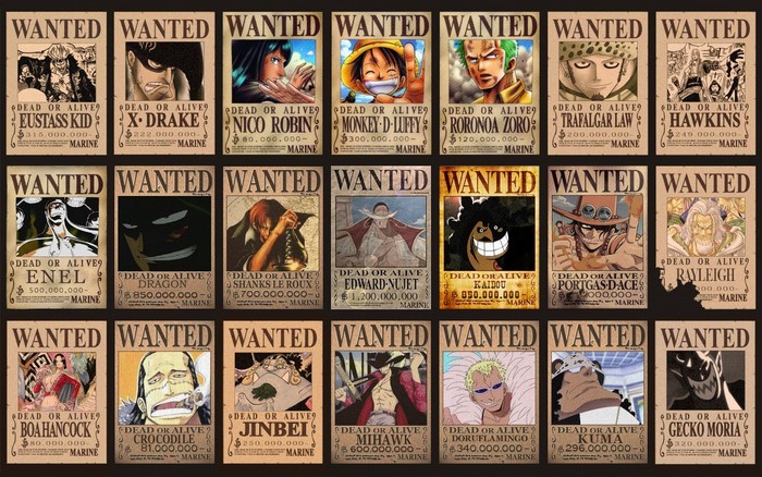 One Piece Wanted Posters Collection