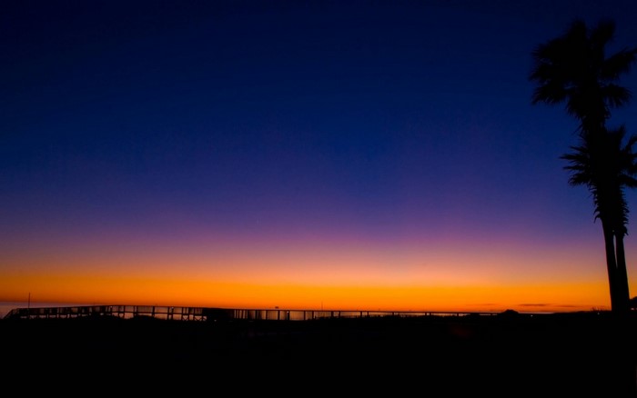 Sunset over a bridge with palm trees
