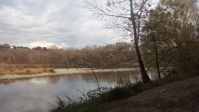 River landscape with trees and cloudy sky